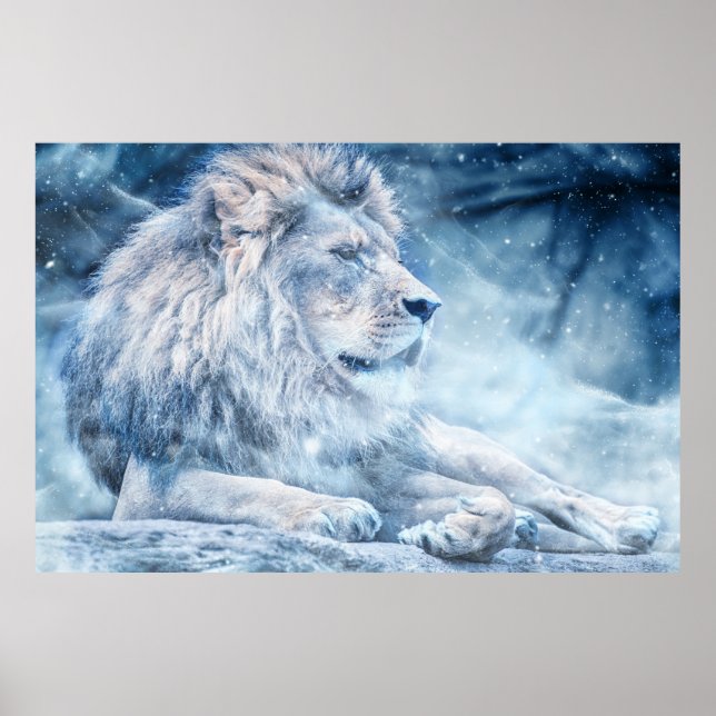 Snow Lion Poster (Front)