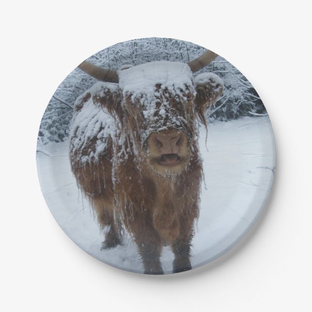 Snow Loving Highland Cow Paper Plate (Front)
