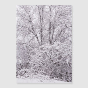 Snow Magnetic Blank Card