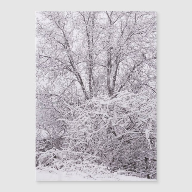 Snow Magnetic Blank Card (Front)