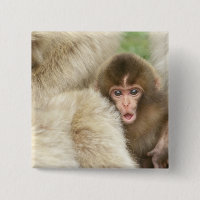 Snow Monkey Baby, Jigokudani, Nagano, Japan