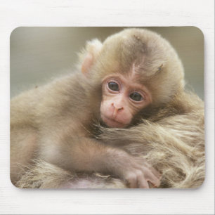 Snow Monkey Baby, Jigokudani, Nagano, Japan 2 Mouse Pad