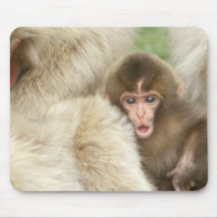 Snow Monkey Baby, Jigokudani, Nagano, Japan Mouse Pad
