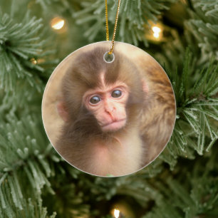 Snow Monkey Baby Portrait Ceramic Ornament