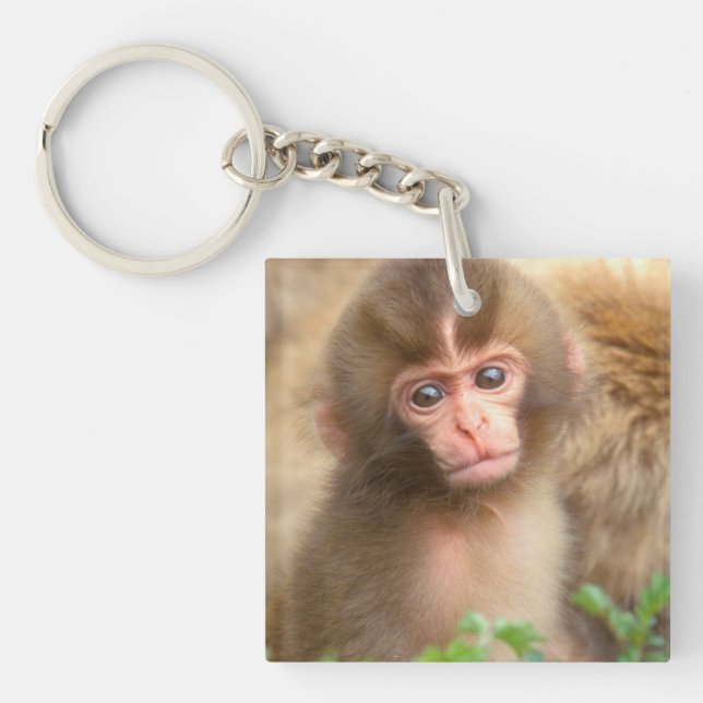 Snow Monkey Baby Portrait Key Ring (Front)