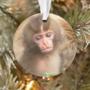 Snow Monkey Baby Portrait Ornament