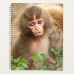 Snow Monkey Baby Portrait Planner