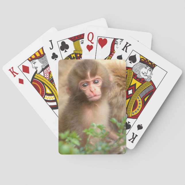 Snow Monkey Baby Portrait Playing Cards (Back)