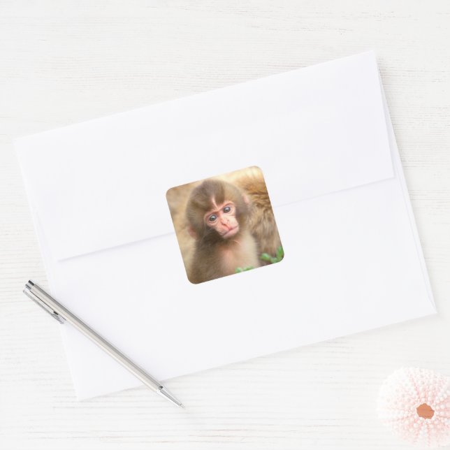 Snow Monkey Baby Portrait Square Sticker (Envelope)