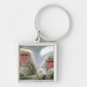 Snow Monkey Couple, Japanese Macaque, Key Ring