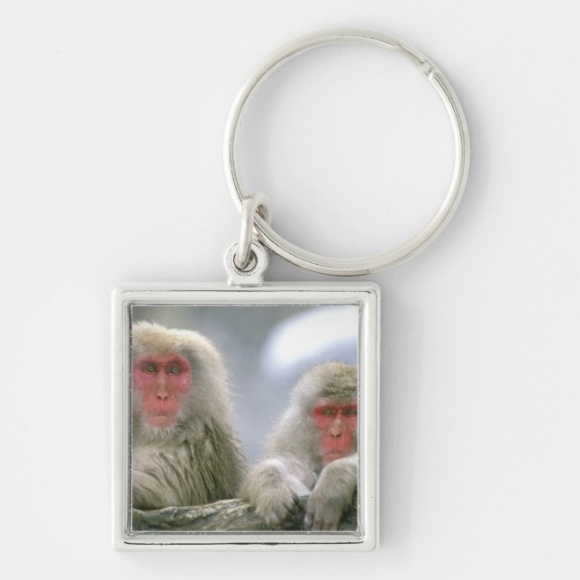 Snow Monkey Couple, Japanese Macaque, Key Ring (Front)