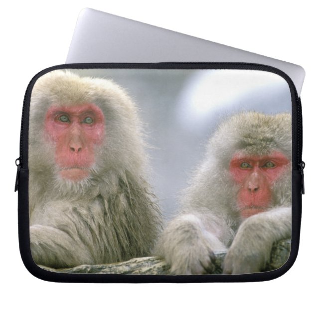Snow Monkey Couple, Japanese Macaque, Laptop Sleeve (Front)