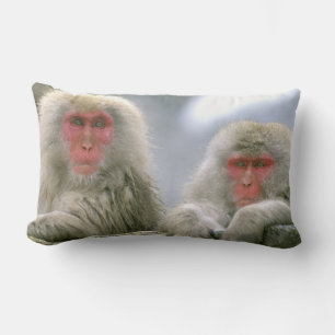Snow Monkey Couple, Japanese Macaque, Lumbar Cushion