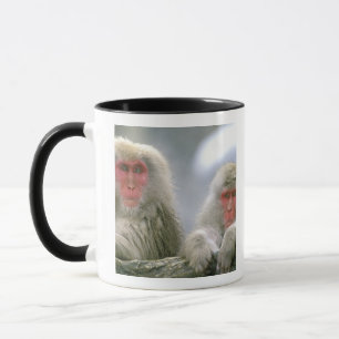 Snow Monkey Couple, Japanese Macaque, Mug