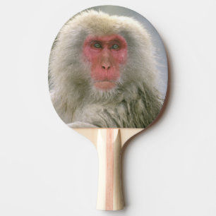 Snow Monkey Couple, Japanese Macaque, Ping Pong Paddle