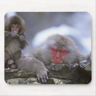 Snow Monkey Mother & Child, Jigokudani, Nagano, Mouse Pad