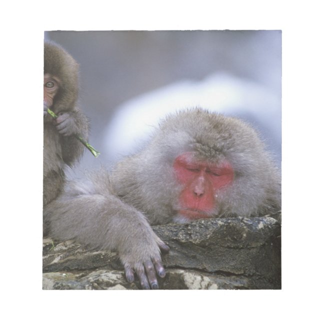 Snow Monkey Mother & Child, Jigokudani, Nagano, Notepad (Front)