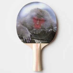 Snow Monkey Mother & Child, Jigokudani, Nagano, Ping Pong Paddle