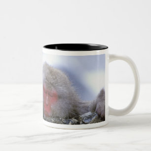 Snow Monkey Mother & Child, Jigokudani, Nagano, Two-Tone Coffee Mug
