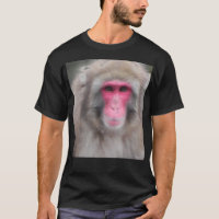 SNOW MONKEY