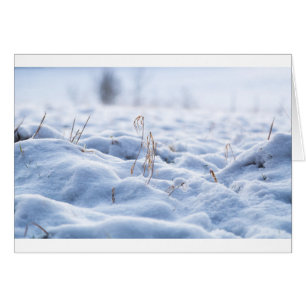 Snow on a meadow in winter macro