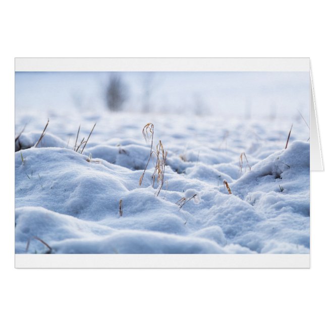 Snow on a meadow in winter macro (Front Horizontal)
