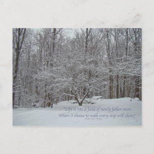 Snow on Dogwood Tree Quote Denis Waitley Postcard