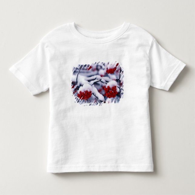 Snow on European Mountain Ash Berries, Utah. Toddler T-Shirt (Front)