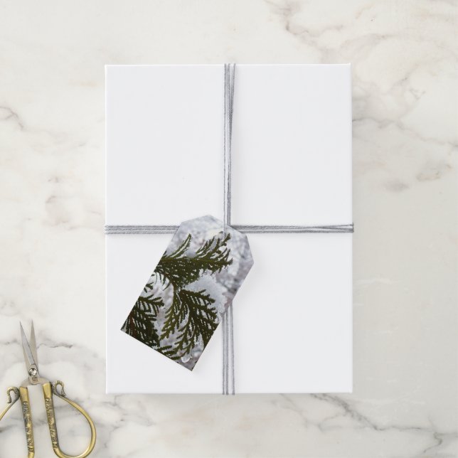 Snow on Evergreen Branches Gift Tags (With Twine)