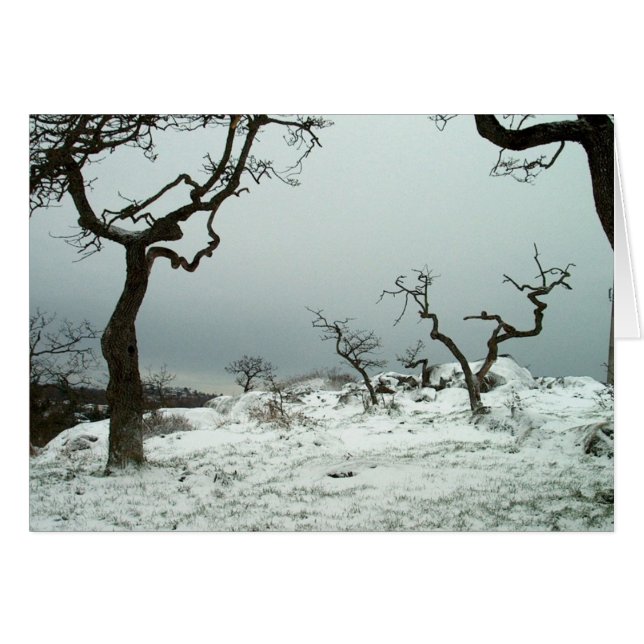 Snow on Garry Oak Meadow (Front Horizontal)