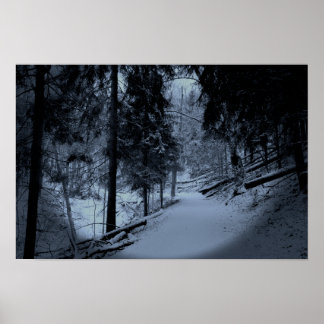 Snow on Hiking Trail 3 Poster