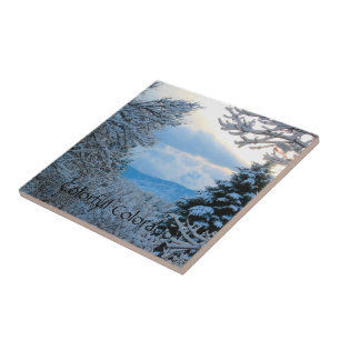 Snow on Pine Trees in Colorado Rocky Mountains Tile