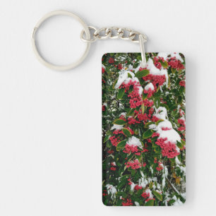 Snow , on the red berries  key ring