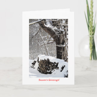 Snow on the Wood pile Holiday Card