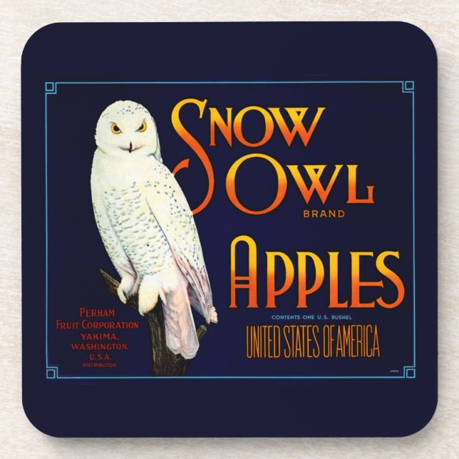 Snow Owl Apples Coaster (Front)