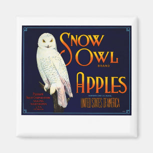 Snow Owl Apples Magnet