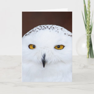 SNOW OWL BIRTHDAY CARD