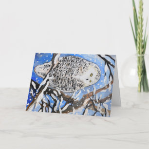 Snow Owl Card
