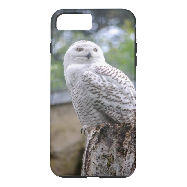 Snow owl Case-Mate iPhone case (Back)