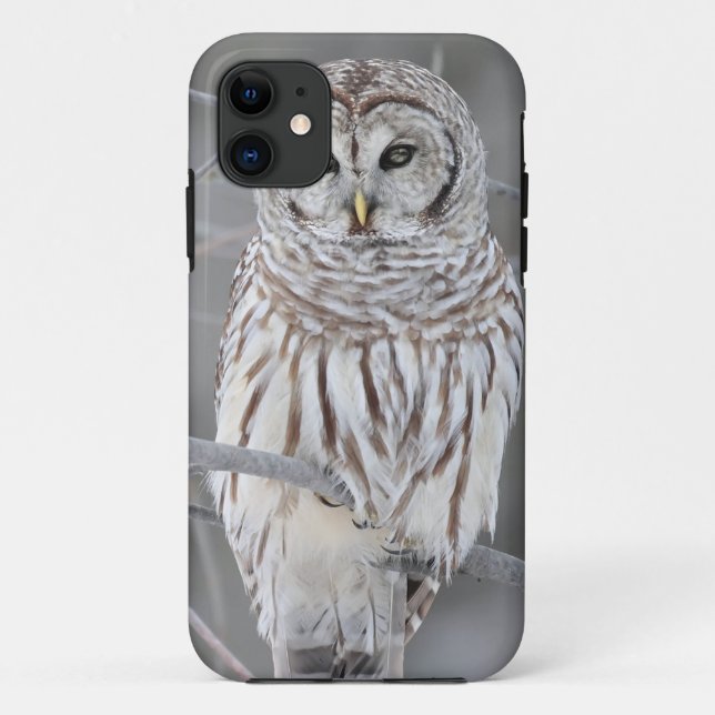 Snow Owl Case-Mate iPhone Case (Back)