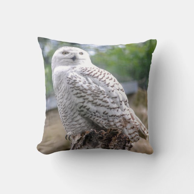 Snow owl cushion (Front)