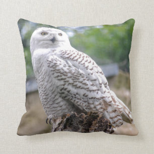 Snow owl cushion