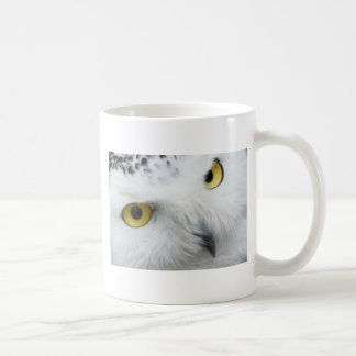 Snow Owl Eyes Coffee Mug