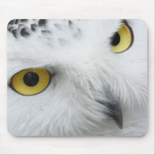 Snow Owl Eyes Mouse Pad