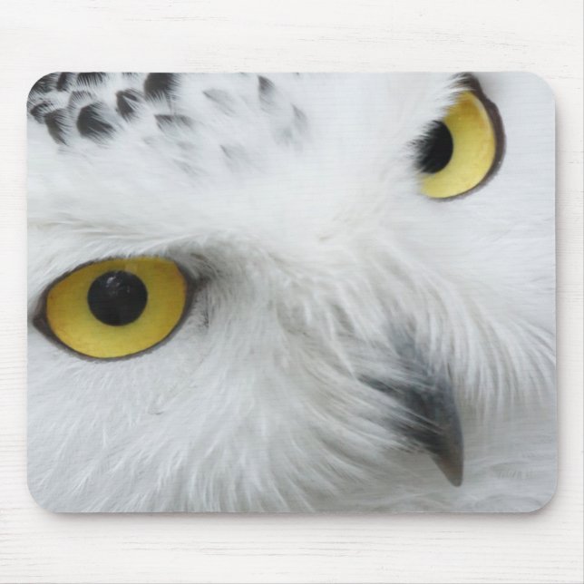 Snow Owl Eyes Mouse Pad (Front)