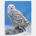 SNOW OWL
