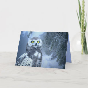 snow owl greeting card