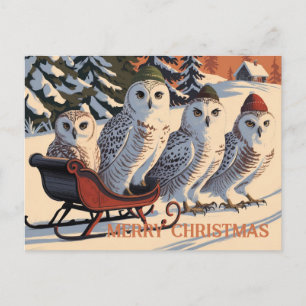 Snow Owl Merry Christmas Postcard