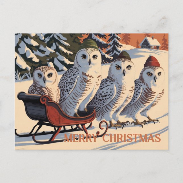 Snow Owl Merry Christmas  Postcard (Front)