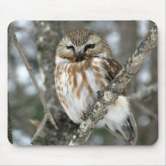 Snow Owl Mouse Pad